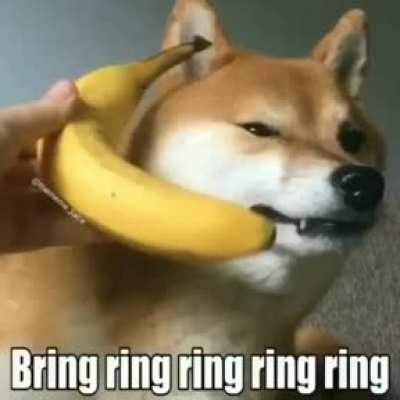ring ring ring ring ring... Banana Phone :)