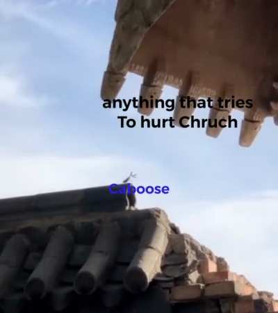 If this ain’t canon then idk what is