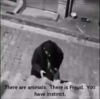 Drunk Turkish guy arguing with a street dog about communism and narcissism.