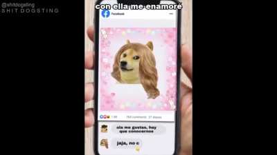 Le sad Mexican Doge has arrived