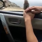 Shiiit