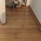 Derp or cute?