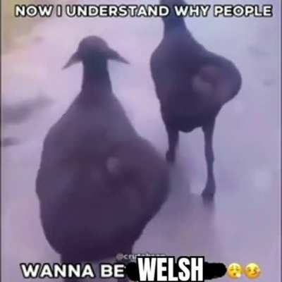 Whales people