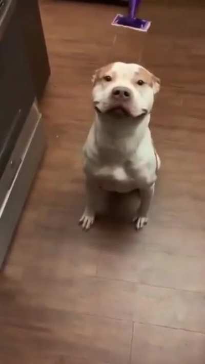 Happy face 😀