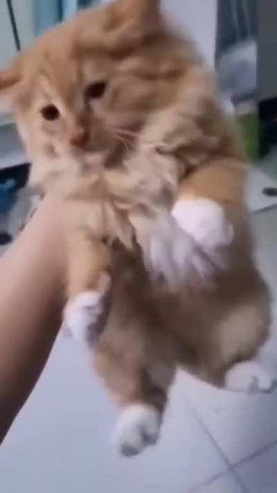 NooOOOoOo