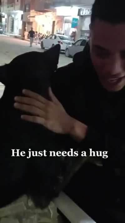 A stray dog crying and need a hug