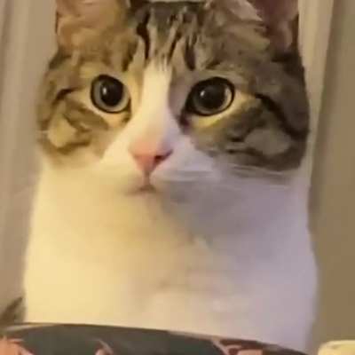 I want to see more