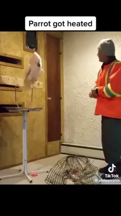 Maybe maybe maybe