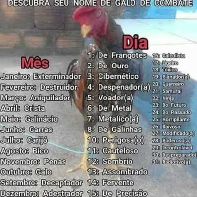 Qual o de vcs?