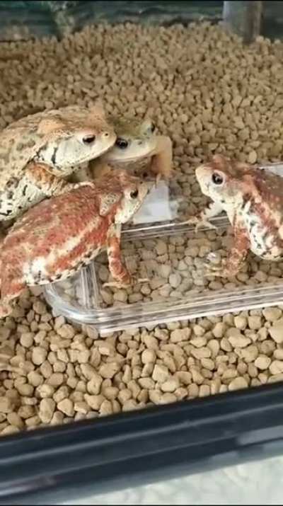 It's Friday my dudes