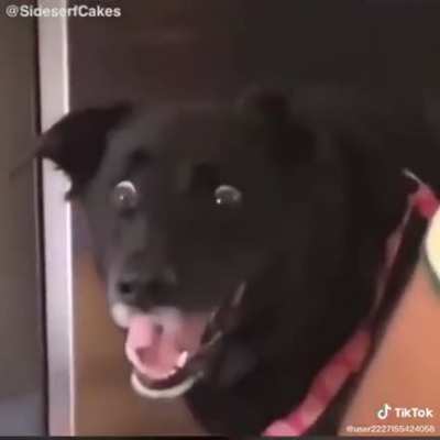 Wtf you doing there...?