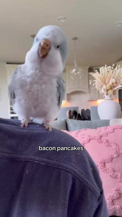 Someone's hungry