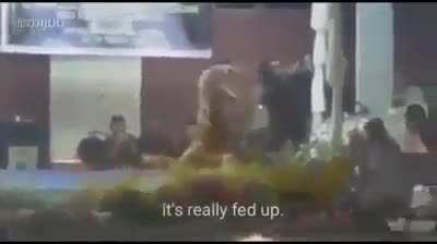 Ue so uma brincadeira de criancinha nada mais ñ