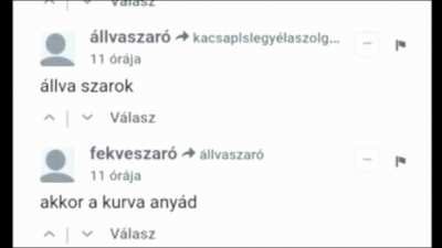 A végső harc