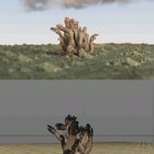 need a.... hand??????? sorry. i'm so sorry. bad pun. generating instances onto a hair sim || C4D OCTANE
