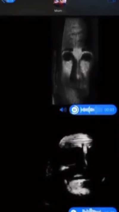 The last meme