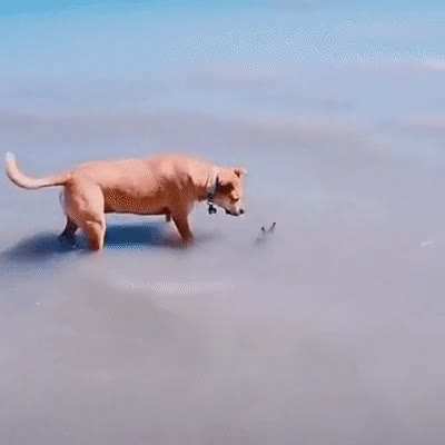 WTF dude!!!