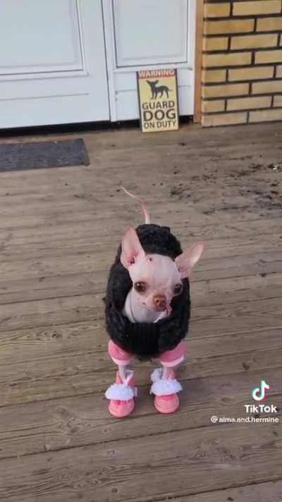 the cutest fella