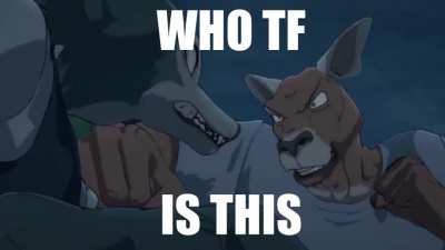 Meet The Kangaroo