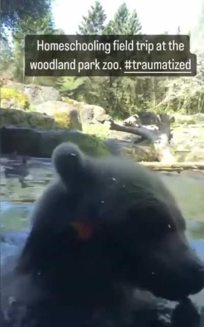 Bear has a little snack