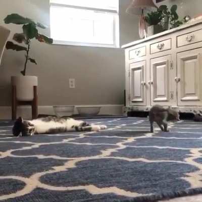 These hops