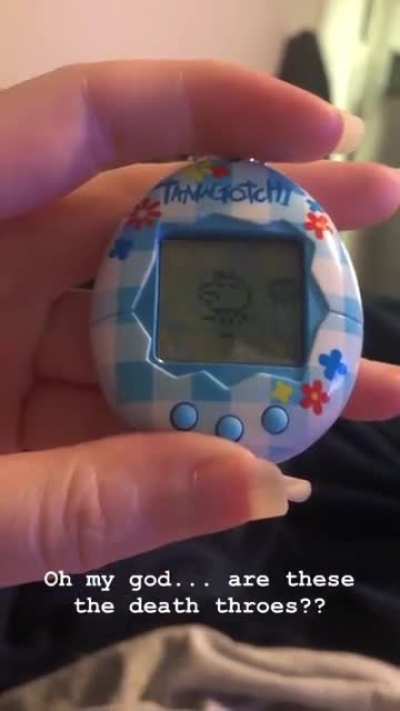My Tamagotchi died today and I could really use some support (sound on!)