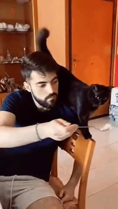 Wrong joke with the wrong cat