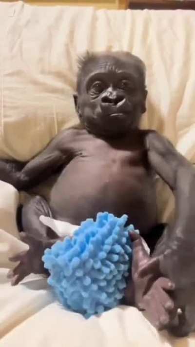 3 or 83?