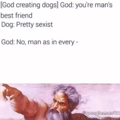 L dogs