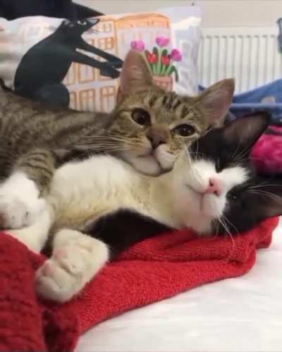 Best friends