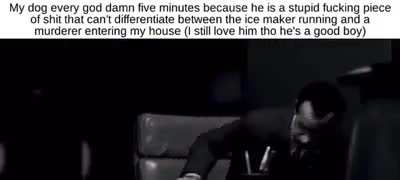 Calm down boy it’s just the storm