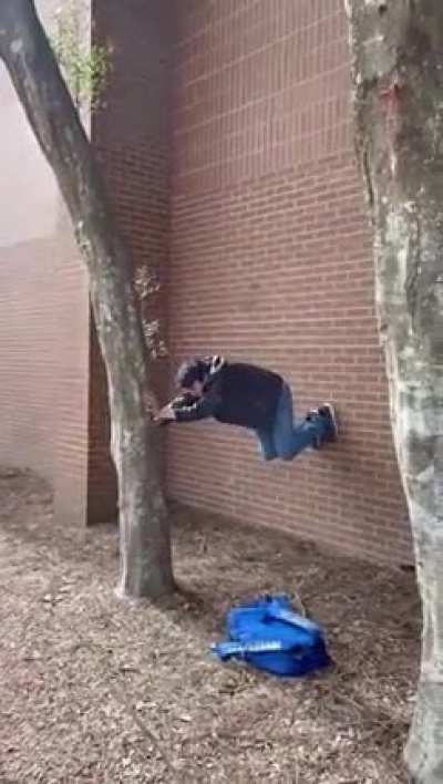 Tree Trauma