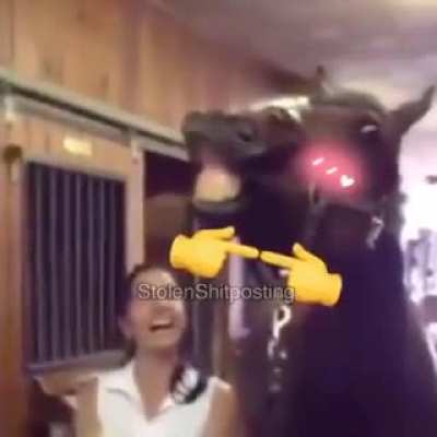 caballo uwu