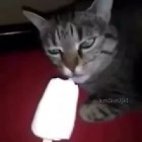 BRAIN FREEZE