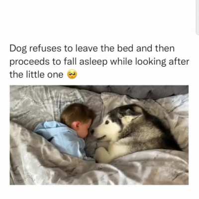 This is precious