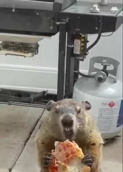 He looks so smug