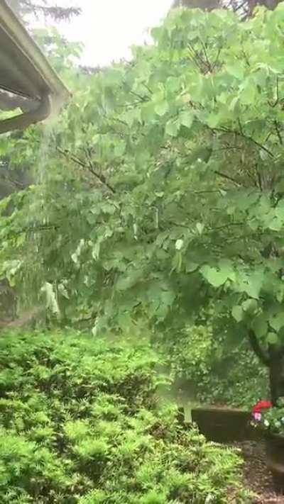 monsoon season in michigan