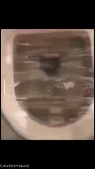 hmmmmmm