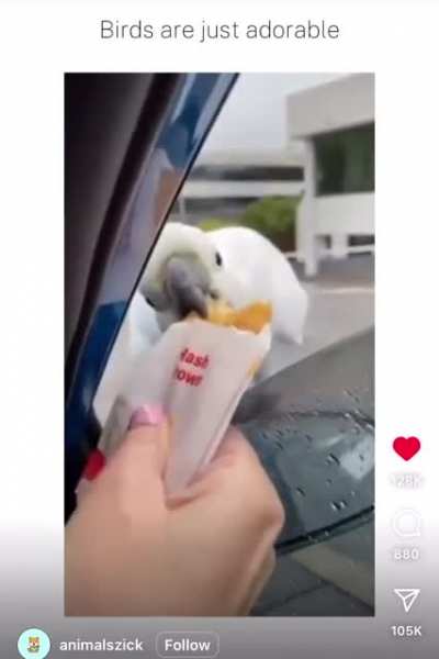 MINE MINE MINE MINE