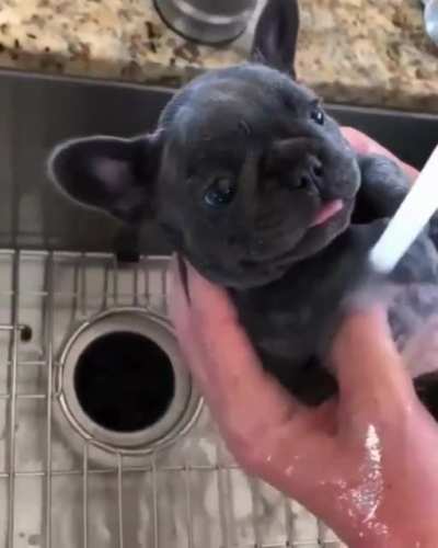 Doing the dishes
