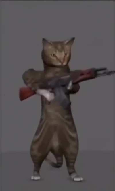 Valkyr mains when they need to use a gun instead of their claws: