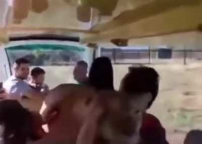 smothered during a safari