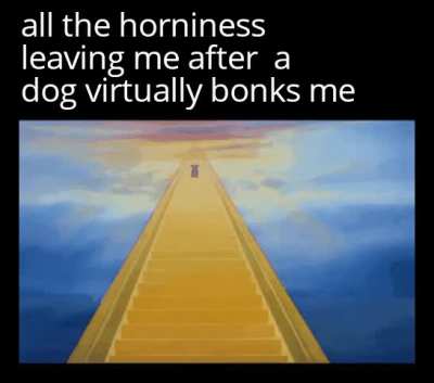 No horny