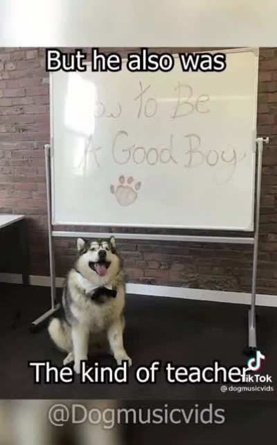 Perfeito 0 defeitos