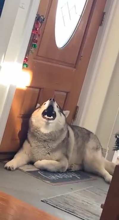 I don't know what he wants...!!