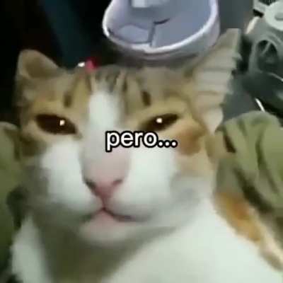 chi
