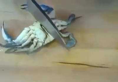 RIP Mr. Krabs