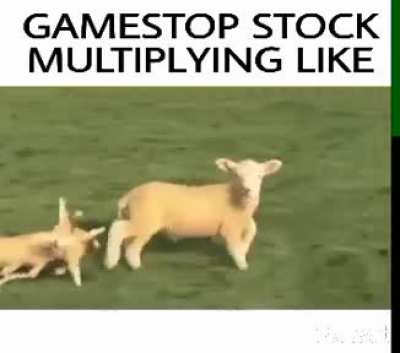GameStop Stock Multiplying Like...