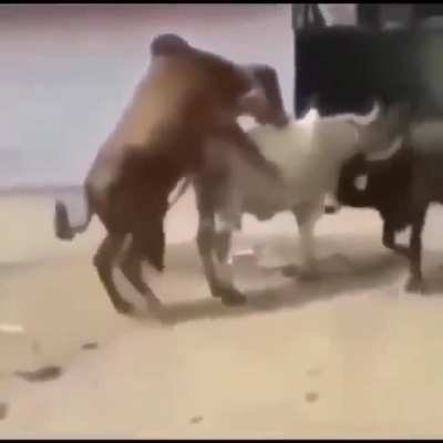 i just found this in my gallery