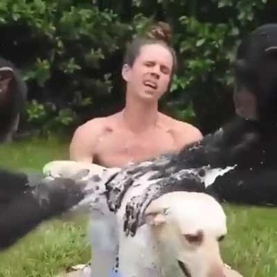 bath time